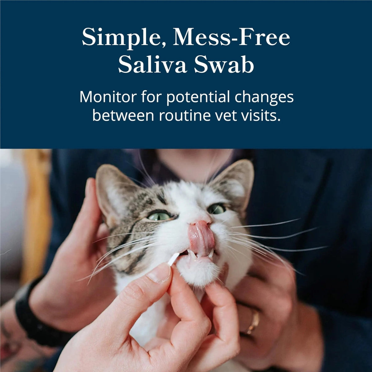 Petivity At-Home Oral Health Test for Cats & Dogs — 10-Second Dental Check Kit by Purina — Simple Saliva Swab to Detect Bad Breath & Gum Issues - (Pack of 1) - Maple Wellness Supplements