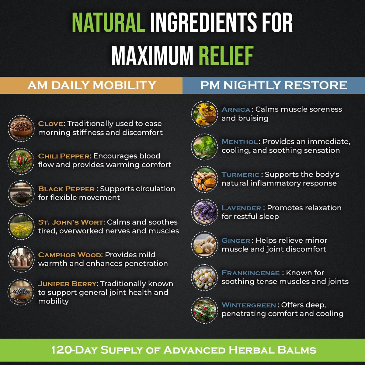 PHYTEWELL Muscle & Joint Rub Balm - Day & Night Pain Relief for Back, Knee, & Shoulder - Crafted with Arnica, Clove & Black Pepper to Support Recovery & Relaxation – Premium Non-Greasy Texture - Maple Wellness Supplements