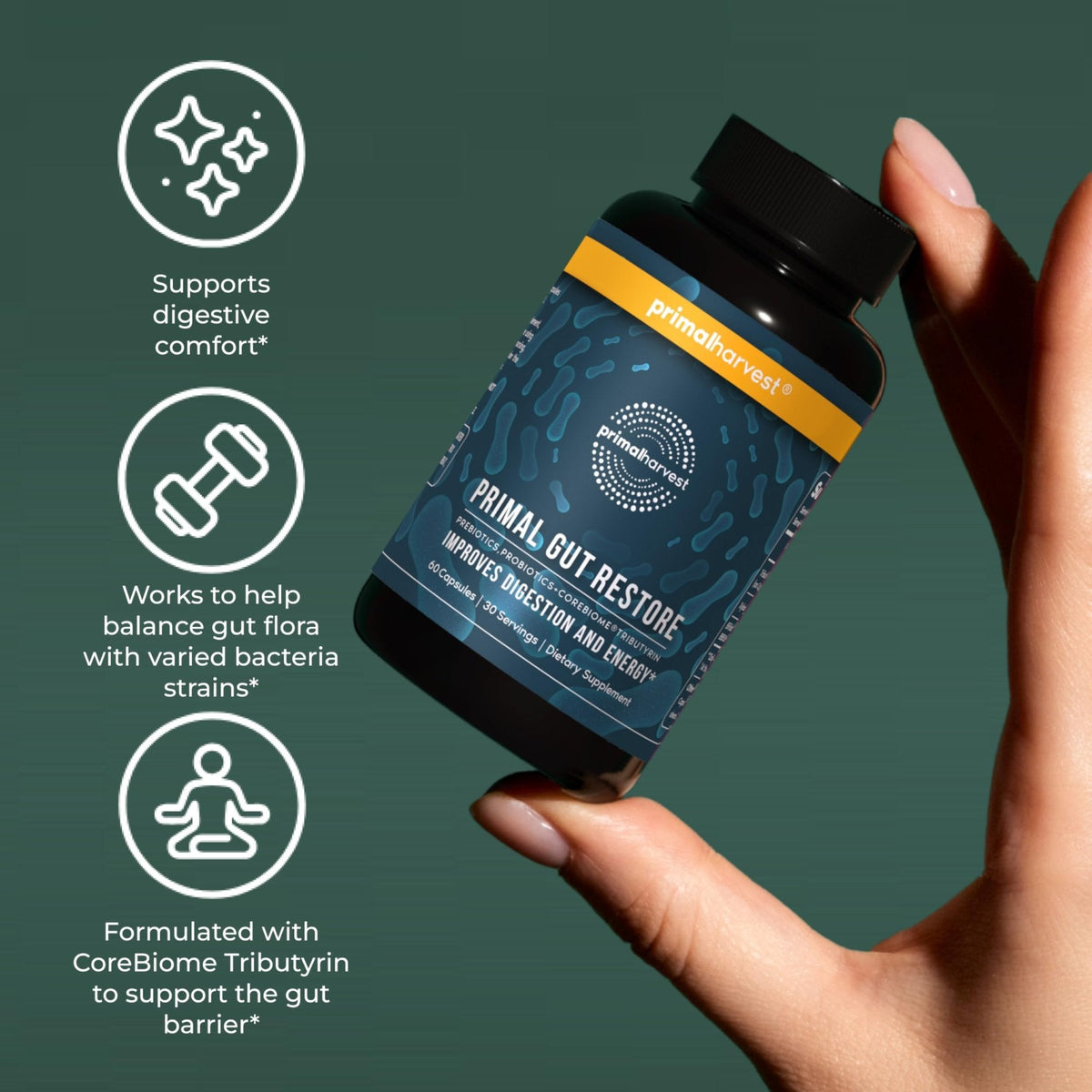 Primal Harvest 2 Pack, Restore for Gut Health, Primal Gut Restore w/POSTbiotics, PREbiotics and PRObiotics for Women and Men, 60 CT - Digestion, - Maple Wellness Supplements