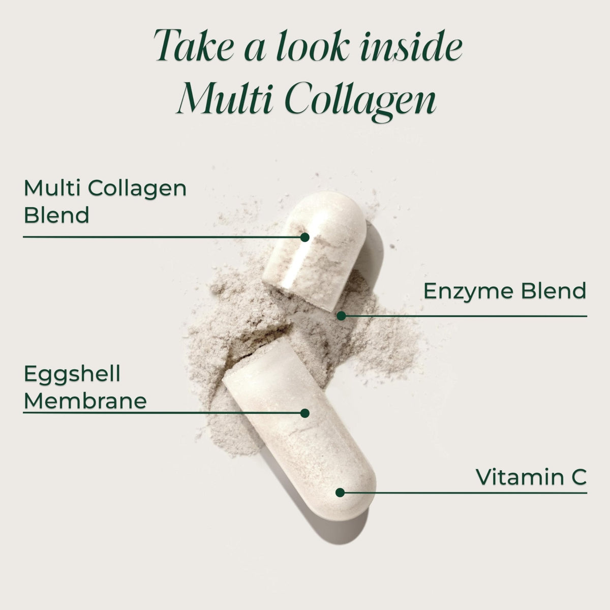 Primal Harvest Multi Collagen Pills for Women and Men (Type I, II, III, V, X) 120 Capsules w/Vitamin C for Hair, Skin, Nails - Maple Wellness Supplements