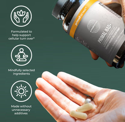 Primal Harvest NAD+ Supplement: Nicotinamide Riboside, Trans-Resveratrol, Betaine, CoQ10, NAD Supplements for Cellular Health, Energy, and Mitochondrial Support (60 Count (1 Pack) - Maple Wellness Supplements