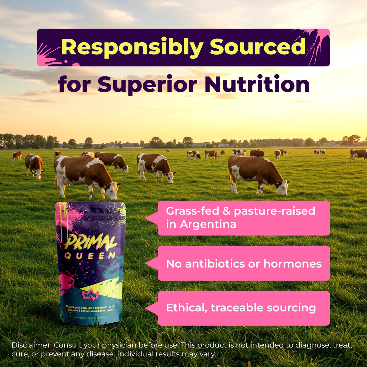 Primal Queen Female-Optimized Beef Organ Superfood Supplement (Beef Liver, Kidney, Heart, & 3 More) - 100% Grass Fed, Pasture Raised - 3rd Party & Clinically Tested - Maple Wellness Supplements