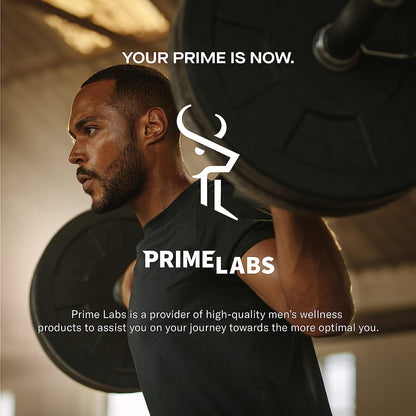 Prime Labs Creatine HCl Capsules - with CON-CRĒT®, Rhodiola Root Extract, & L-Theanine - Muscle Support, Endurance, Cognitive Function - for Men & Women - 60 Pills - Maple Wellness Supplements