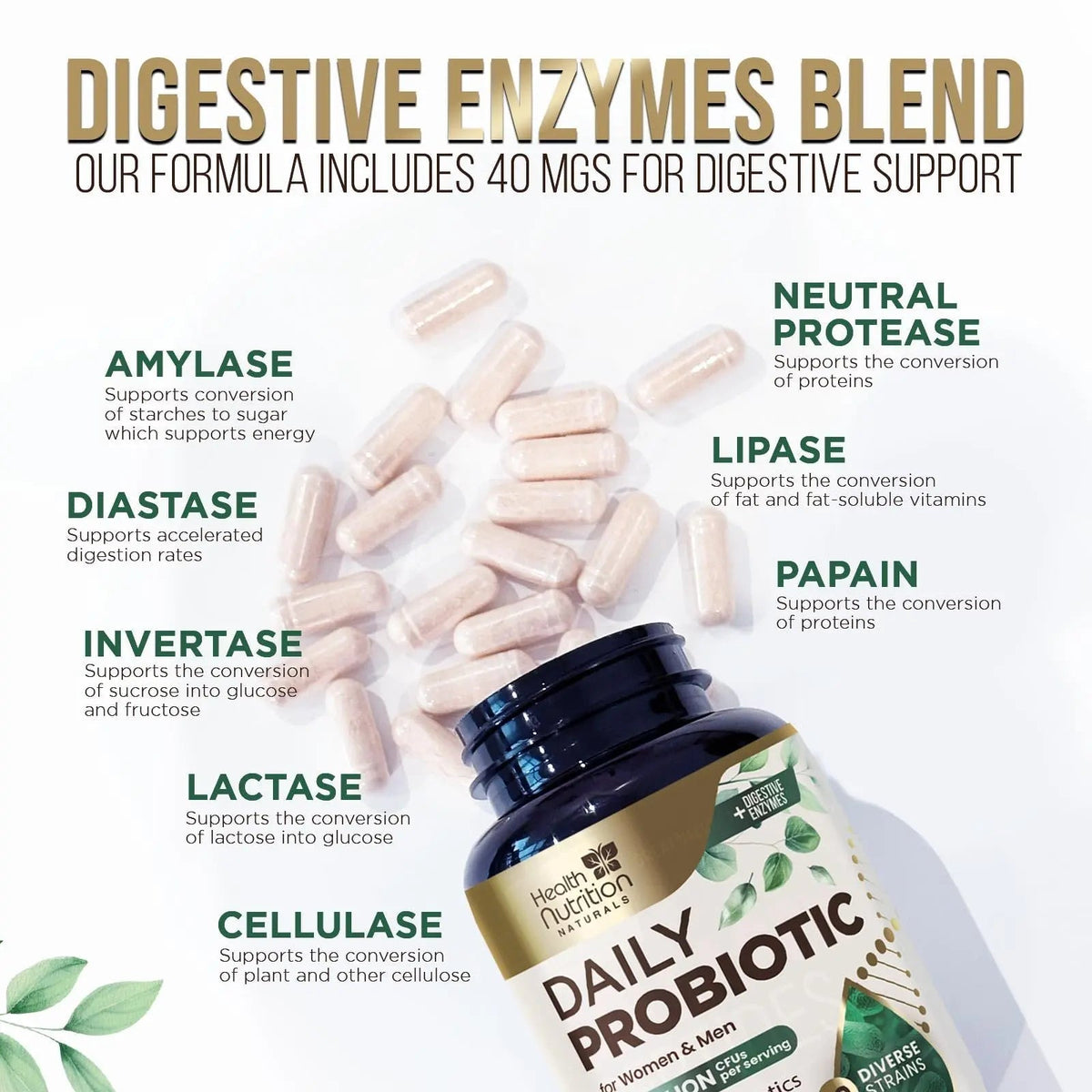 Probiotics 50 Billion CFU per Serving - 10 Strains + Prebiotics - Digestive Health, Gut & Immune Support - Occasional Constipation, Gas & Bloating Support for Women & Men, Bottled USA - 60 Capsules - Maple Wellness Supplements