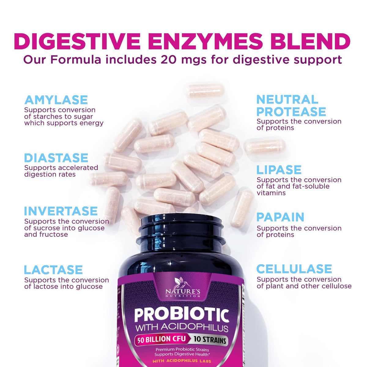 Probiotics for Digestive Gut Health - 50 Billion CFU Per Capsule, 10 Premium Strains & Prebiotics - Best Probiotics for Women & Men, Occasional Constipation, Gas, Immune Health Support - 180 Capsules - Maple Wellness Supplements