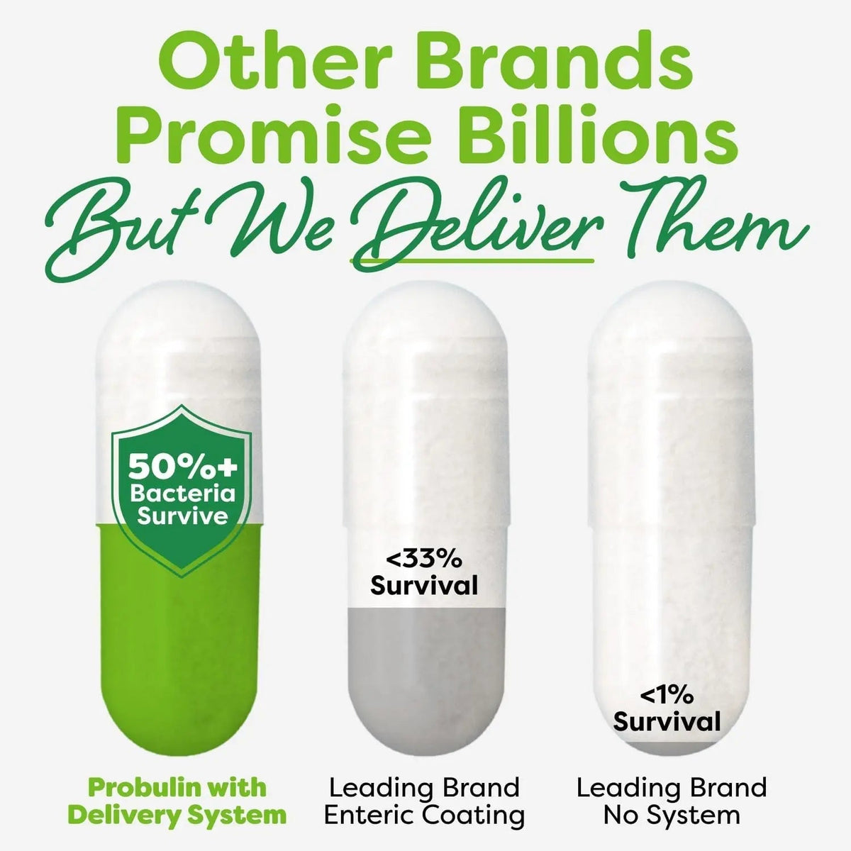 Probulin Total Care Immune = Prebiotics + Probiotics + Postbiotics + Elderberry to Support Immune & Gut Health - 20 Billion CFU - 10 Probiotic Strains, 30 Vegan Capsules - Maple Wellness Supplements