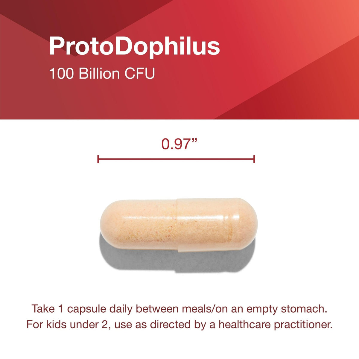 PROTOCOL FOR LIFE BALANCE Proto Dophilus 100 Billion 10 Strains - Support Digestive Gut Health Immune System & Detox - Dairy, Wheat, Soy & Gluten Free - Vegan & Nut Free - 30 Veg Capsules - Maple Wellness Supplements