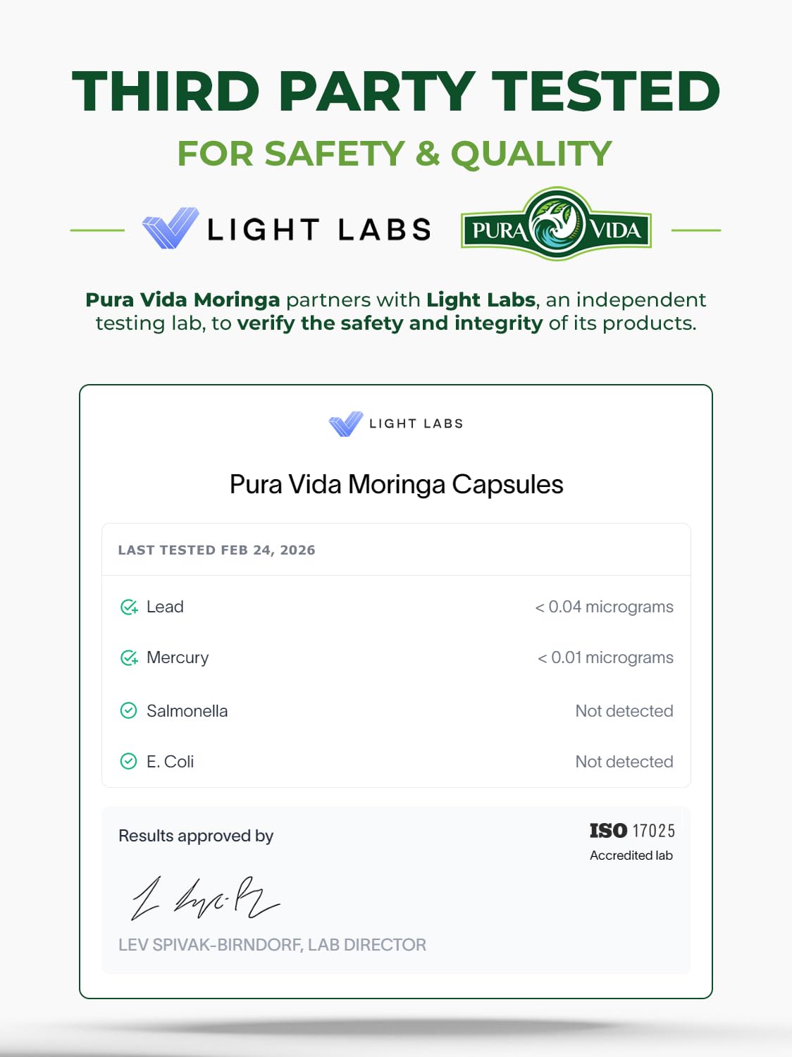 PURA VIDA MORINGA Organic Moringa Capsules, Pure Moringa Leaf Powder Single Origin for Energy, Metabolism & Immune Support - Maple Wellness Supplements