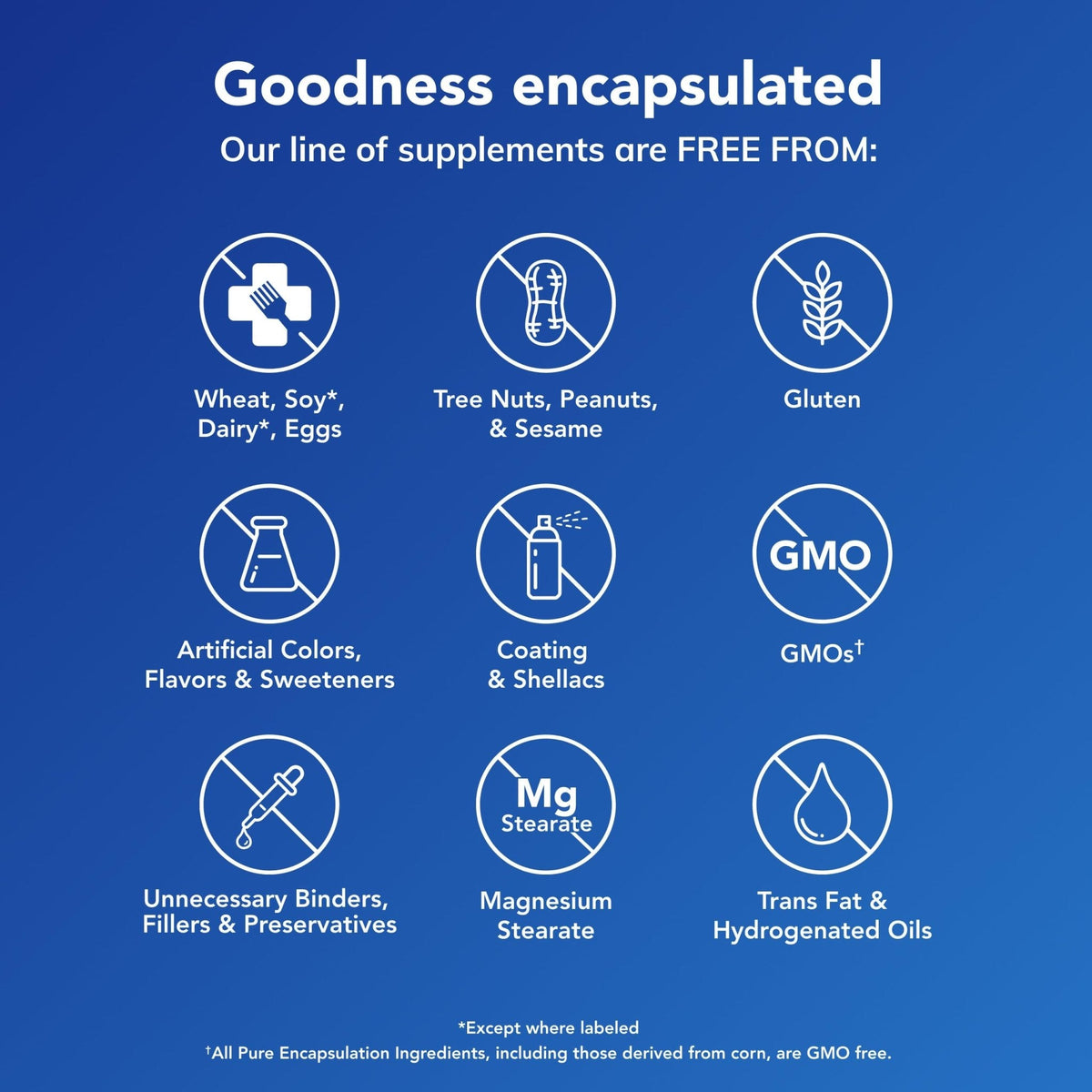Pure Encapsulations NR Longevity NAD Supplement – Supports Healthy Aging, NAD+ Replenishment, Mitochondrial Function, with NIAGEN – Gluten Free, Non-GMO, Hypoallergenic – 60 Capsules - Maple Wellness Supplements