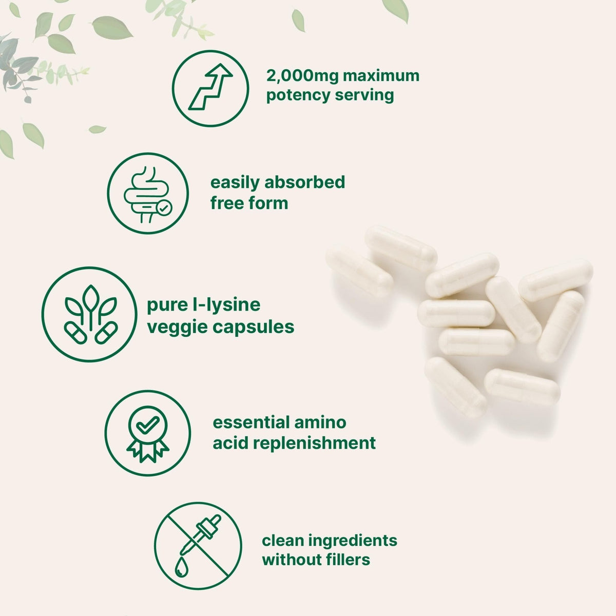 Pure L-Lysine 2,000mg, 300 Veggie Capsules | Maximum Potency, Easily Absorbed, Free Form | Essential Amino Acid for Collagen, Lip, & Immune Support - Maple Wellness Supplements