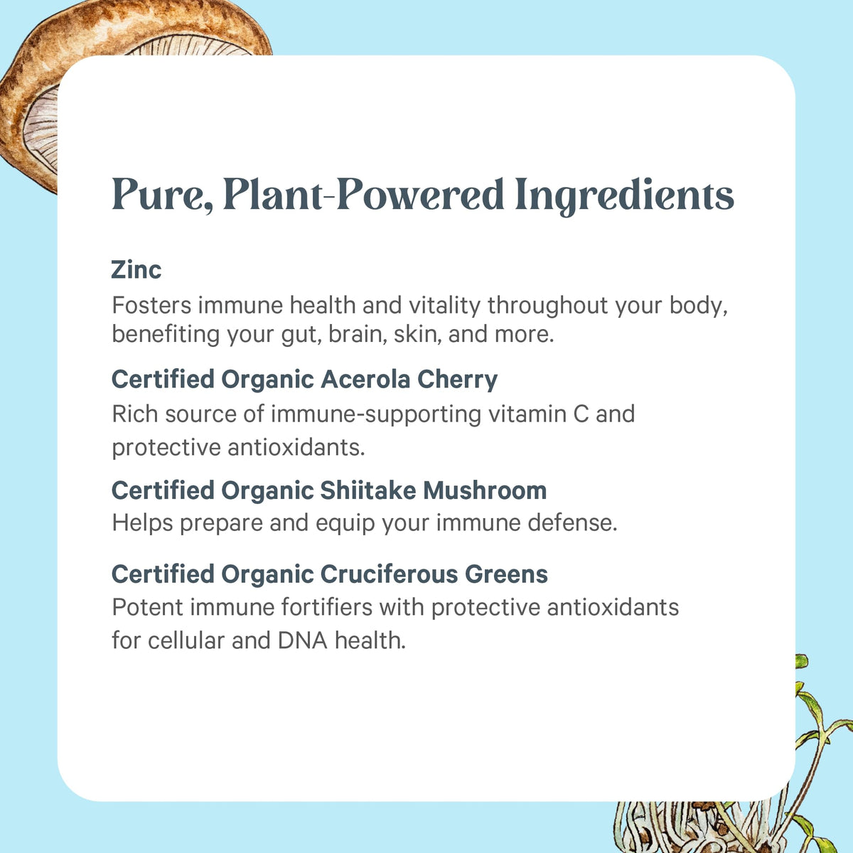 PURE SYNERGY Zinc Complex | Immune Support Supplement | Natural, Vegan Zinc Complex with Vitamin C and Organic Whole Foods | for Immune - Maple Wellness Supplements