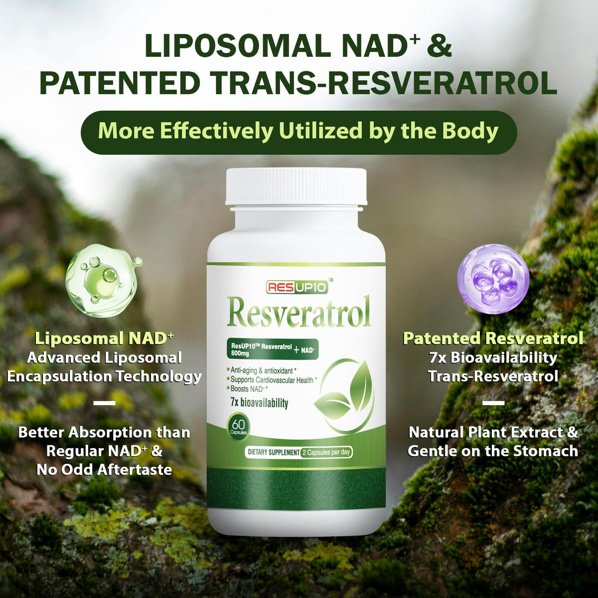 PureBotan Liposomal NAD+ Resveratrol Supplement 1300mg, High Bioavailable Trans Resveratrol ResUP10, with Extra Strength NAD Plus, Support Aging, Cardiovascular Health and Cellular Energy, 60 Capsules - Maple Wellness Supplements