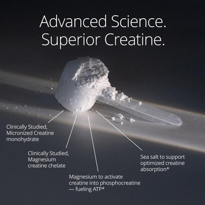 Qualia Creatine | Advanced Creatine Complex | 2 Sources + Magnesium | Optimized Absorption | Muscle Performance, Brain Function, & Healthy Aging (30 Servings) - Maple Wellness Supplements
