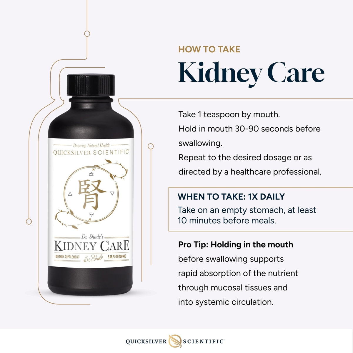 Quicksilver Scientific Kidney Care - Kidney Cleanse & Lymphatic Drainage Supplements - Astragaloside IV Extract, Zhu Ling, Goldenrod, Ferulic Acid, He Shou Wu & Dandelion Leaf (3.38oz / 100ml) - Maple Wellness Supplements