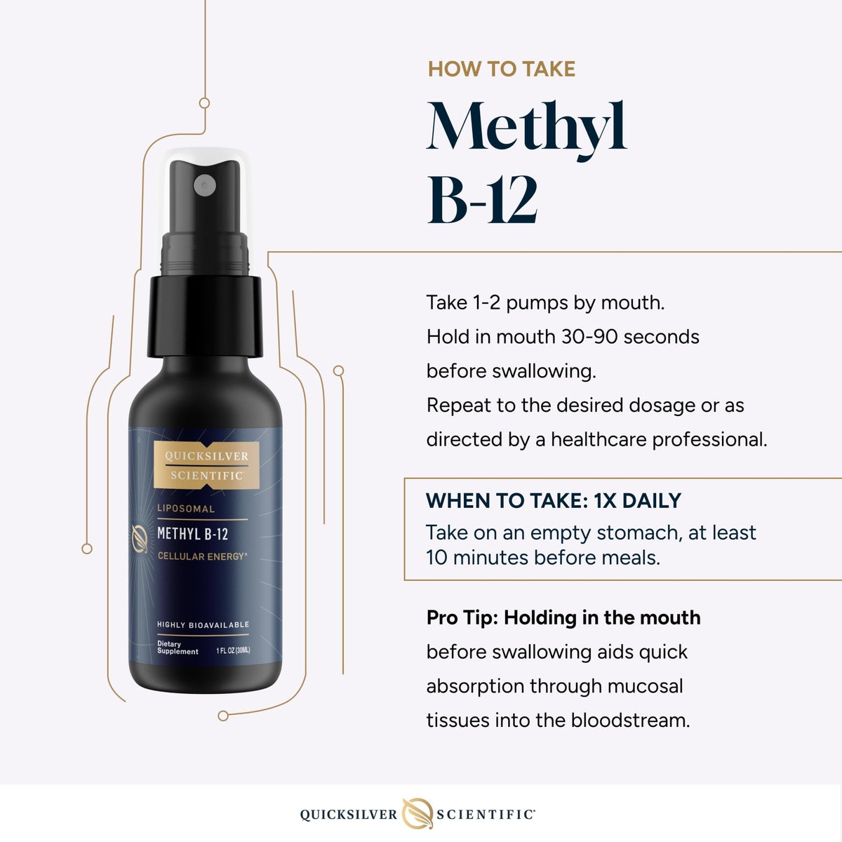 Quicksilver Scientific Methyl B12-1000mcg Vitamin B12 as Methylcobalamin - with Nano Technology for Superior Absorption - Supportive Energy Supplement (30ml / 90 Servings) - Maple Wellness Supplements