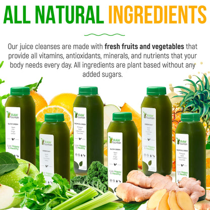 Raw Fountain 5 Day Green Juice Cleanse, All Natural Raw, Vegan Detox, Cold Pressed - Maple Wellness Supplements