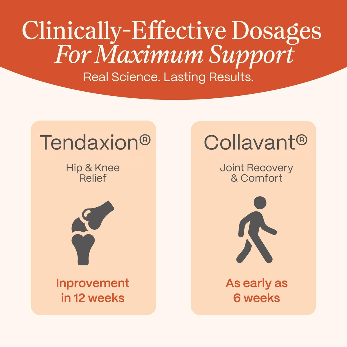 Rejuveen Osteva Joint Support Supplement for Women | High Potency Collagen, Turmeric, Boswellia | for Flexible Cartilage & Tendons, Resilient Knees & Hip, Improved Mobility | Non-GMO, 60 Ct - Maple Wellness Supplements