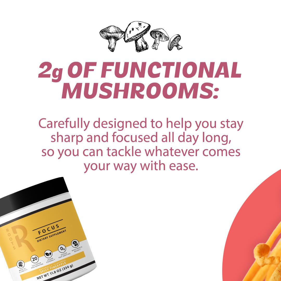 Roots Focus Brain Supplement - Nootropic Mushroom Supplement Powder for Memory, Focus, Energy - Lion's Mane, Cordyceps, and Reishi Mushrooms with Caffeine - Blackberry Lemonade, 15 On the Go Packets - Maple Wellness Supplements