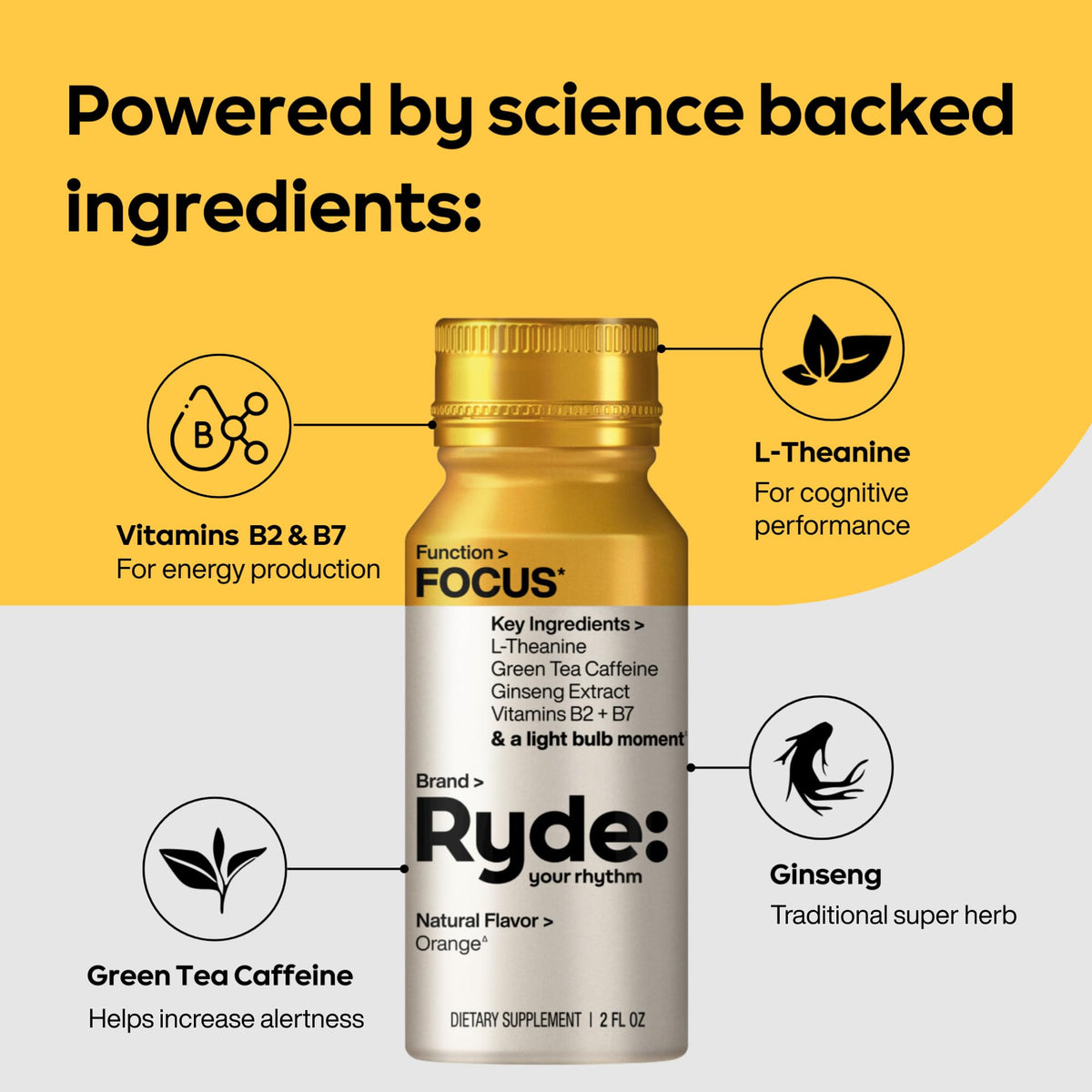 Ryde: Focus Shot | Orange Flavor | L-Theanine & Ginseng | Green Tea Caffeine | Vitamins B2 & B7 | 0 Calories, 0 Sugar | 2 FL OZ Shots | Supports Focus* (8 Pack) - Maple Wellness Supplements