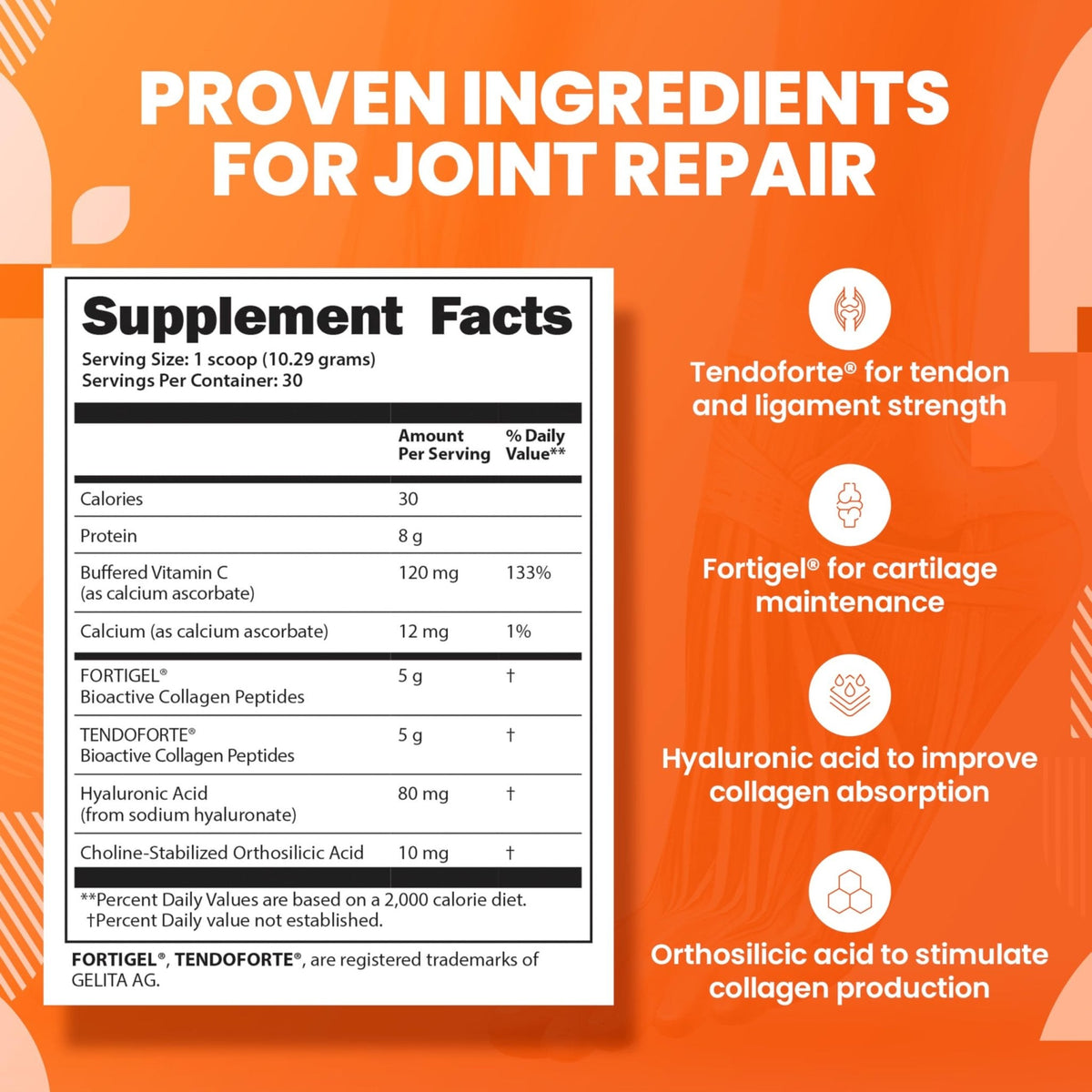 SaltWrap Collagen Synthesis - Collagen Peptides for Joints with Fortigel, Tendoforte, Best Collagen Powder for Tendons, Ligaments - Maple Wellness Supplements