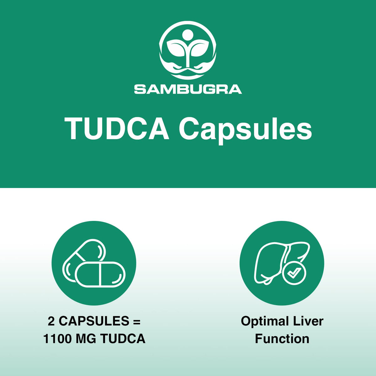 Sambugra TUDCA Liver Supplements 1100mg, 3rd Party Tested Ultra Strength Bile Salt TUDCA Supplement, Liver Support for Detox - Maple Wellness Supplements