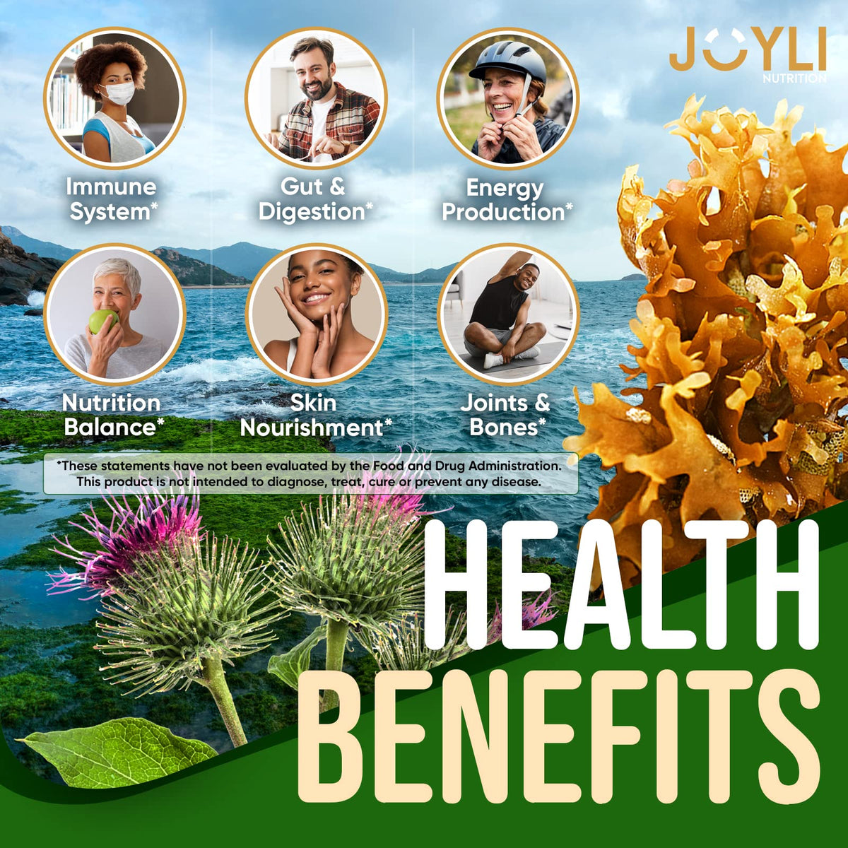 Sea Moss Gummies - Irish Seamoss Gummies for Adults & Kids - Advanced Superfood Supplement with Natural Sea Moss Gel, Bladderwrack & Burdock Root Extract - 60 Vegan Irish Moss Gummy Bears - Maple Wellness Supplements