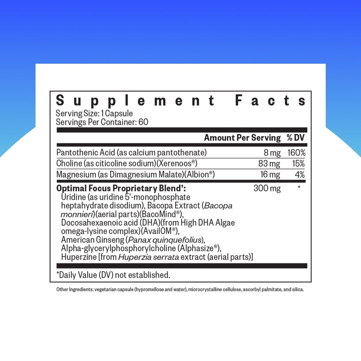 Seeking Health Optimal Focus, Stimulant-Free and Caffeine-Free Nootropic Support for Memory and Focus, with Choline, DHA from Algae, American Ginseng, Vegan and Vegetarian (60 Capsules) - Maple Wellness Supplements