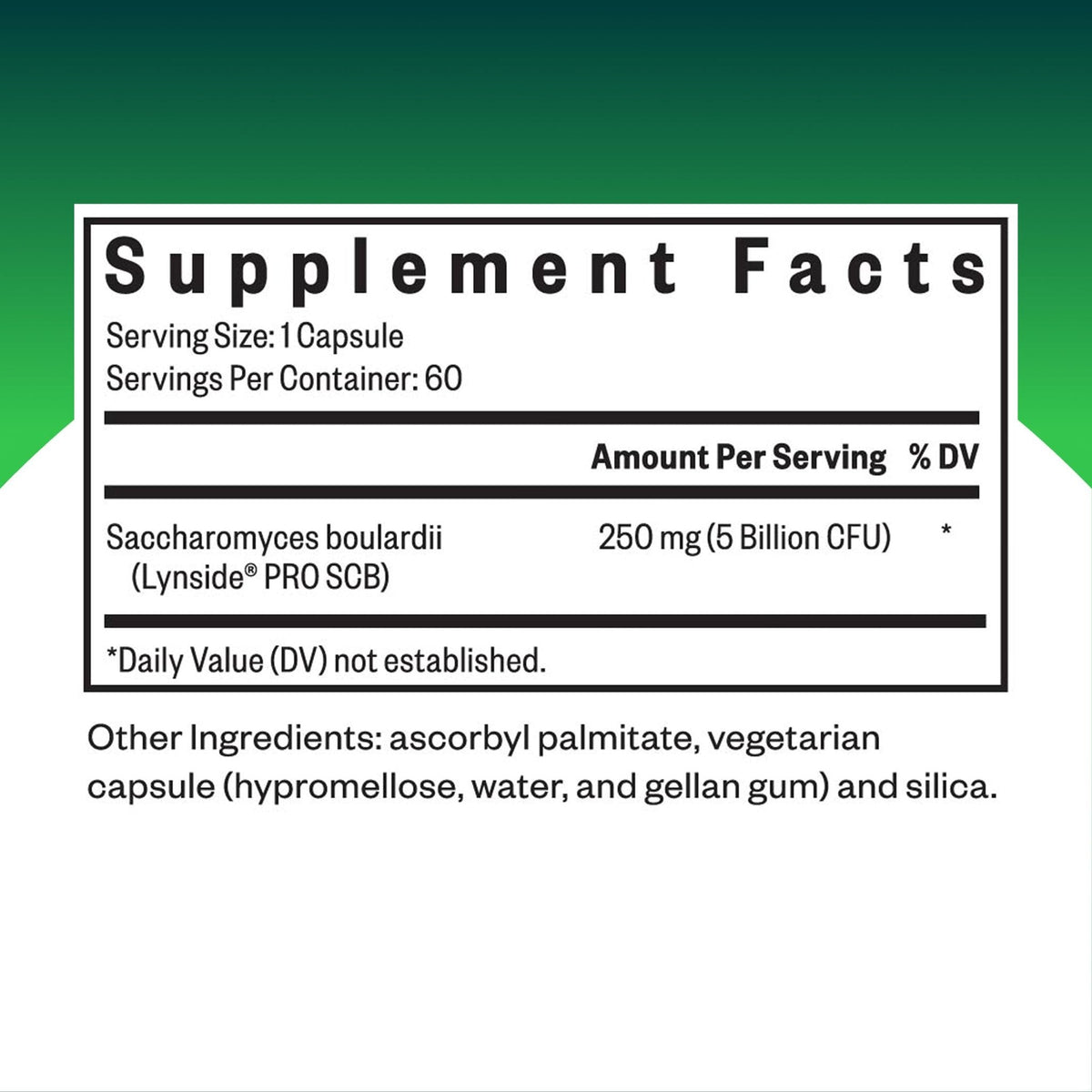 Seeking Health Saccharomyces Boulardii - Gentle Digestive Support for Healthy Bowel Movements* - Supports a Good GI Tract Environment & Microbiome While Traveling* - Maple Wellness Supplements