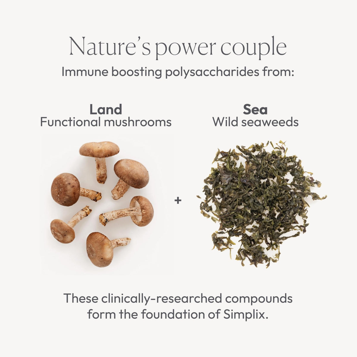 Simplix | Natural Supplement to Strengthen The Immune System | Respond to Outbreaks | Source of Highly Researched Mushroom & Seaweed Polysaccharides 60 Veggie Capsules (1 Pack) - Maple Wellness Supplements