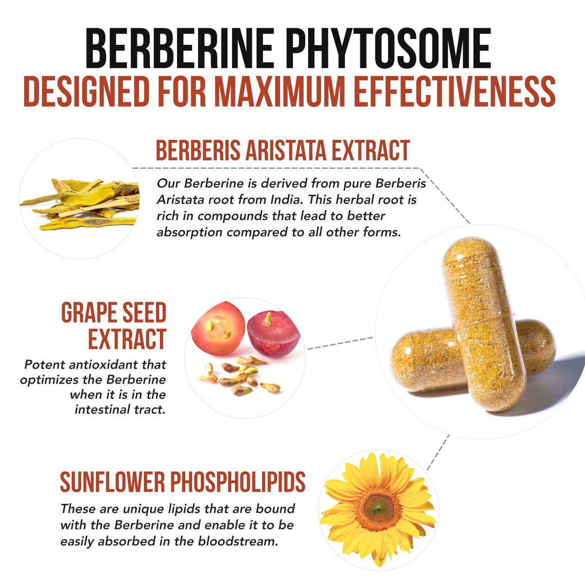 SoActive Berberine 550mg: 9.6X Higher Absorption, Clinically Proven Most Effective - Maple Wellness Supplements