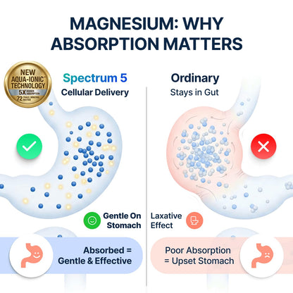 Spectrum 5 Magnesium | 5-in-1 Complex + 72 Trace Minerals for Enhanced Absorption | Irish Sea Sourced | 500mg per Serving - Maple Wellness Supplements