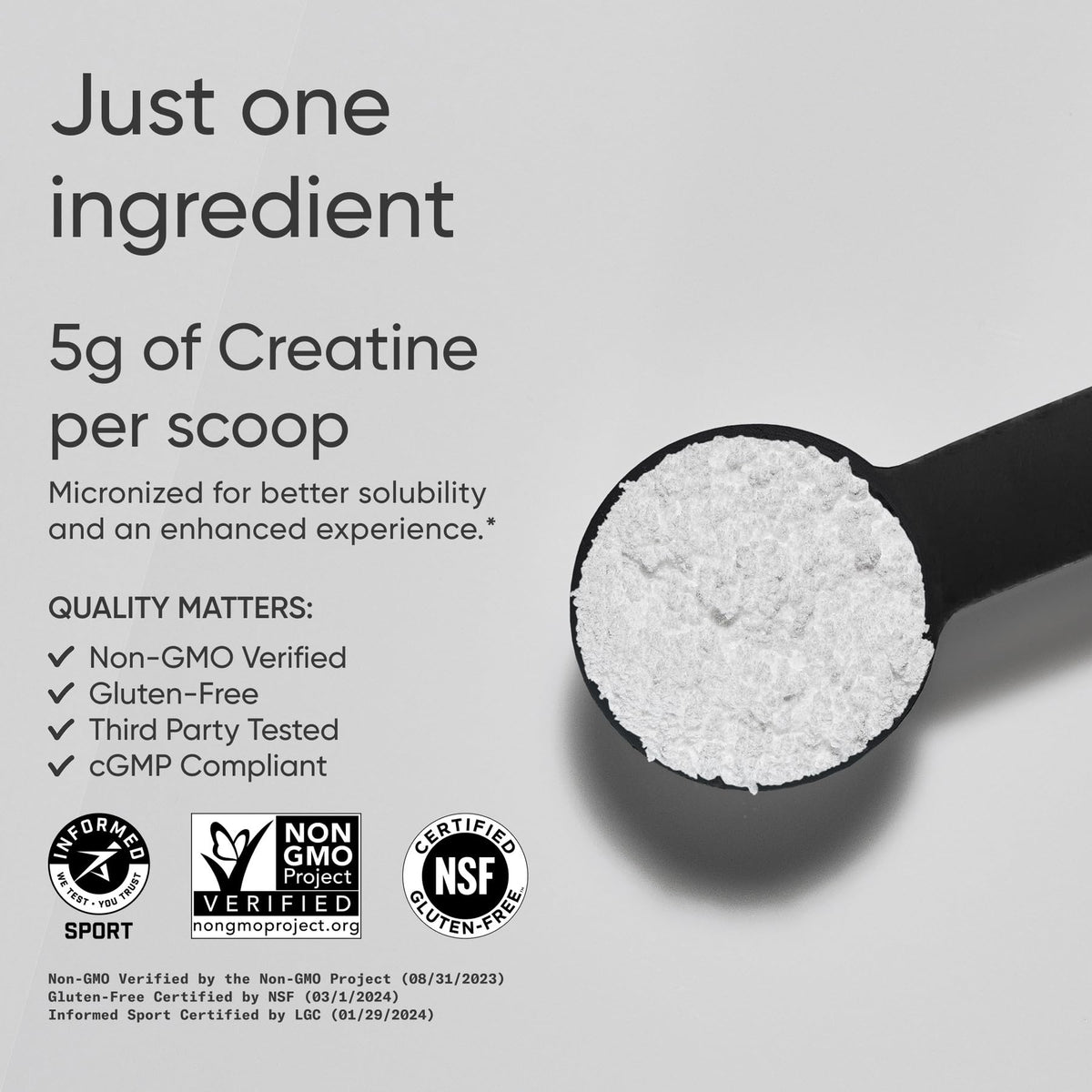 Sports Research Creatine Monohydrate - Gain Lean Muscle, Improve Performance and Strength and Support Workout Recovery* - 5 g Micronized Creatine - 17.64 oz - Maple Wellness Supplements