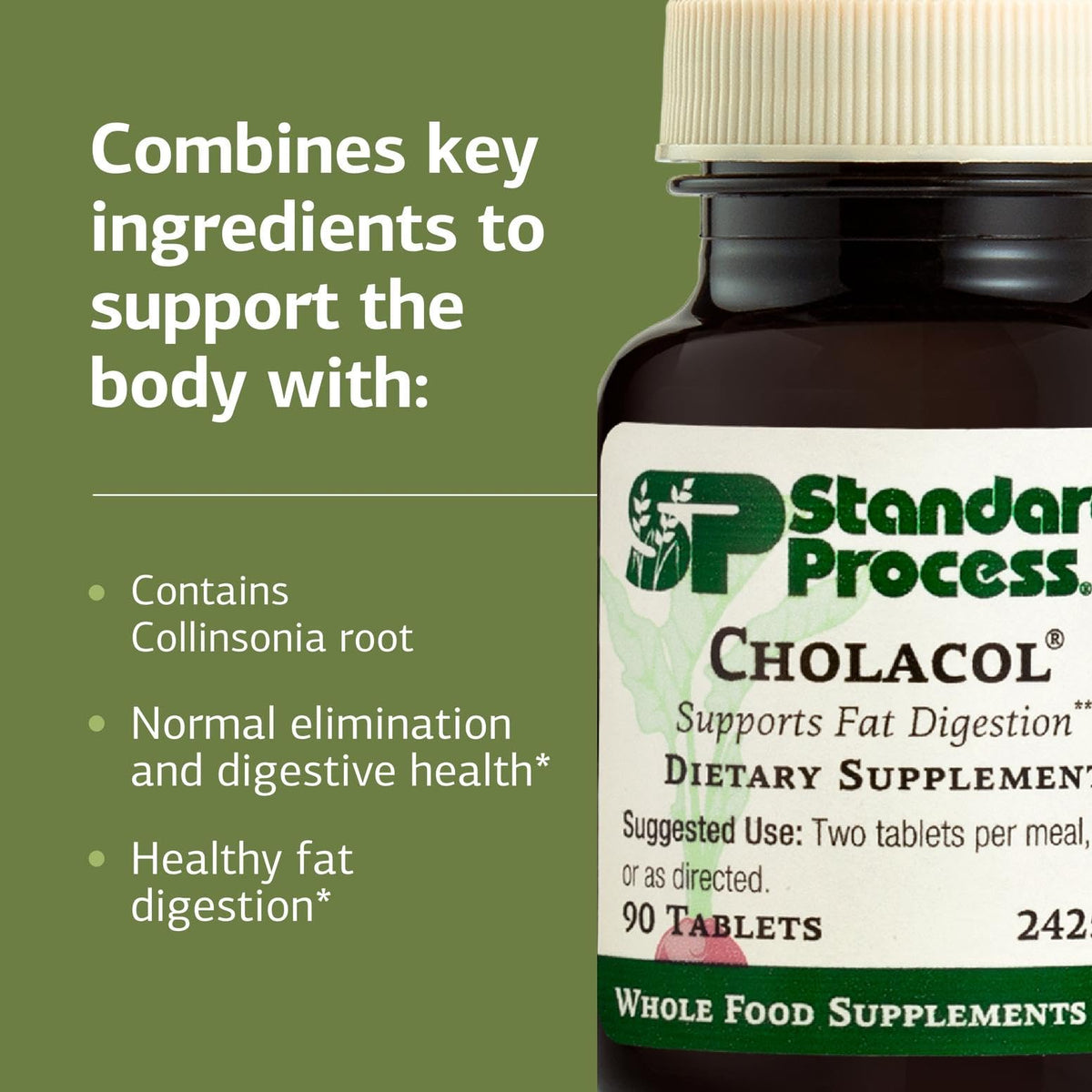 Standard Process Inc. Cholacol - Gallbladder Support Supplement - Fat Digestion Supplement for Digestive Health & Bile Support - Maple Wellness Supplements