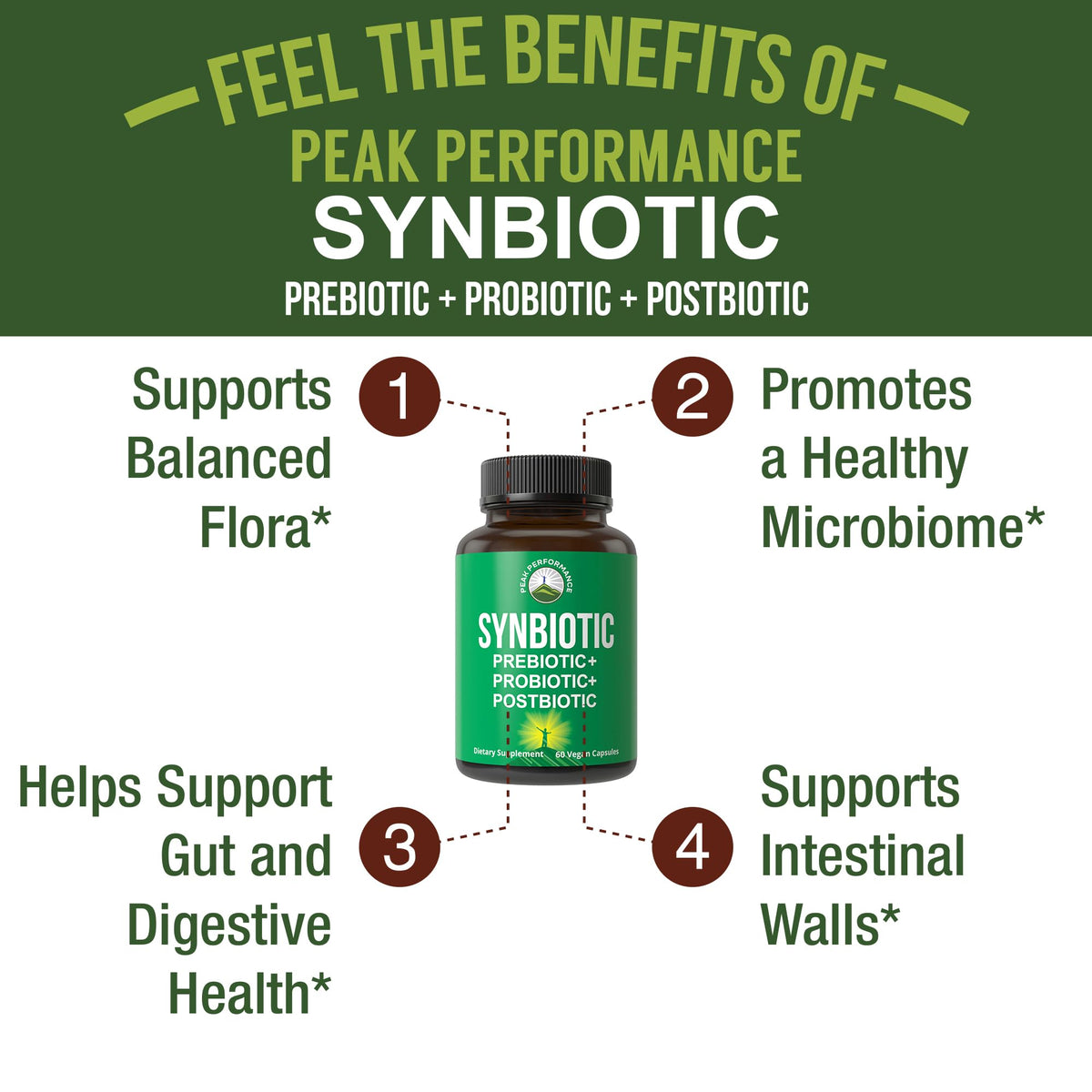 Synbiotic = Prebiotic + Probiotic + Postbiotic 3-in-1 Supplement with Clinically Tested Ingredients. Pre and Probiotics Plus Important Tributyrin Postbiotics for Gut. Vegan Capsules for Women + Men - Maple Wellness Supplements