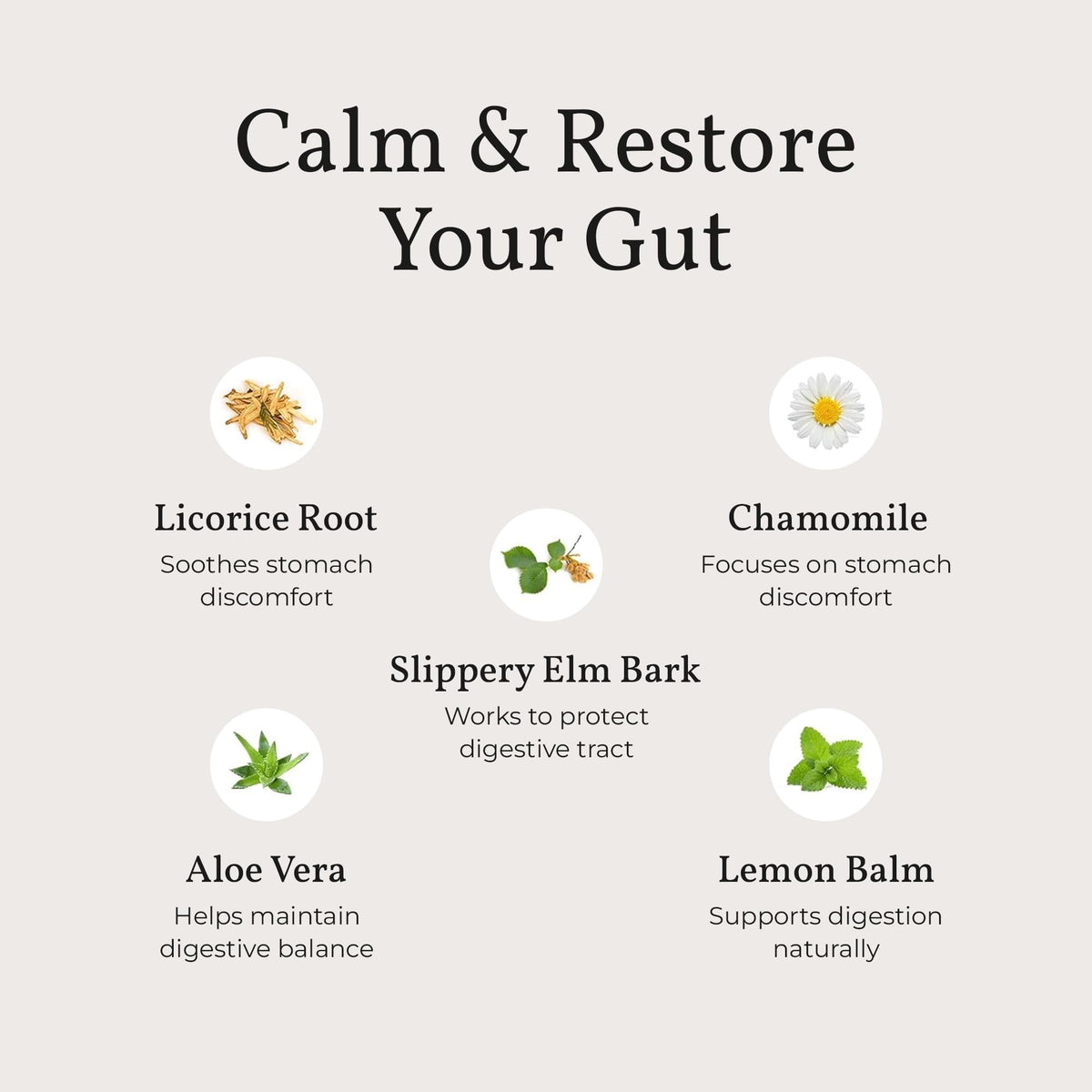 Terra Health Essentials Acid Relief - Plant Based Digestive Support Supplement for Comfortable Gut Function - Lemon Balm, Slippery Elm, - Maple Wellness Supplements