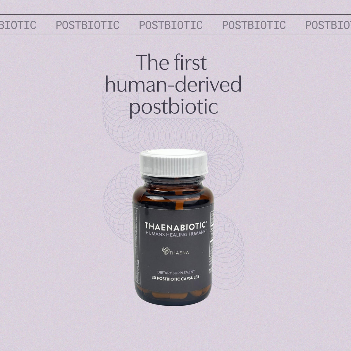 Thaena ThaenaBiotic Postbiotic - World's First Human-Derived Postbiotic Supplement - 30 Count - Maple Wellness Supplements