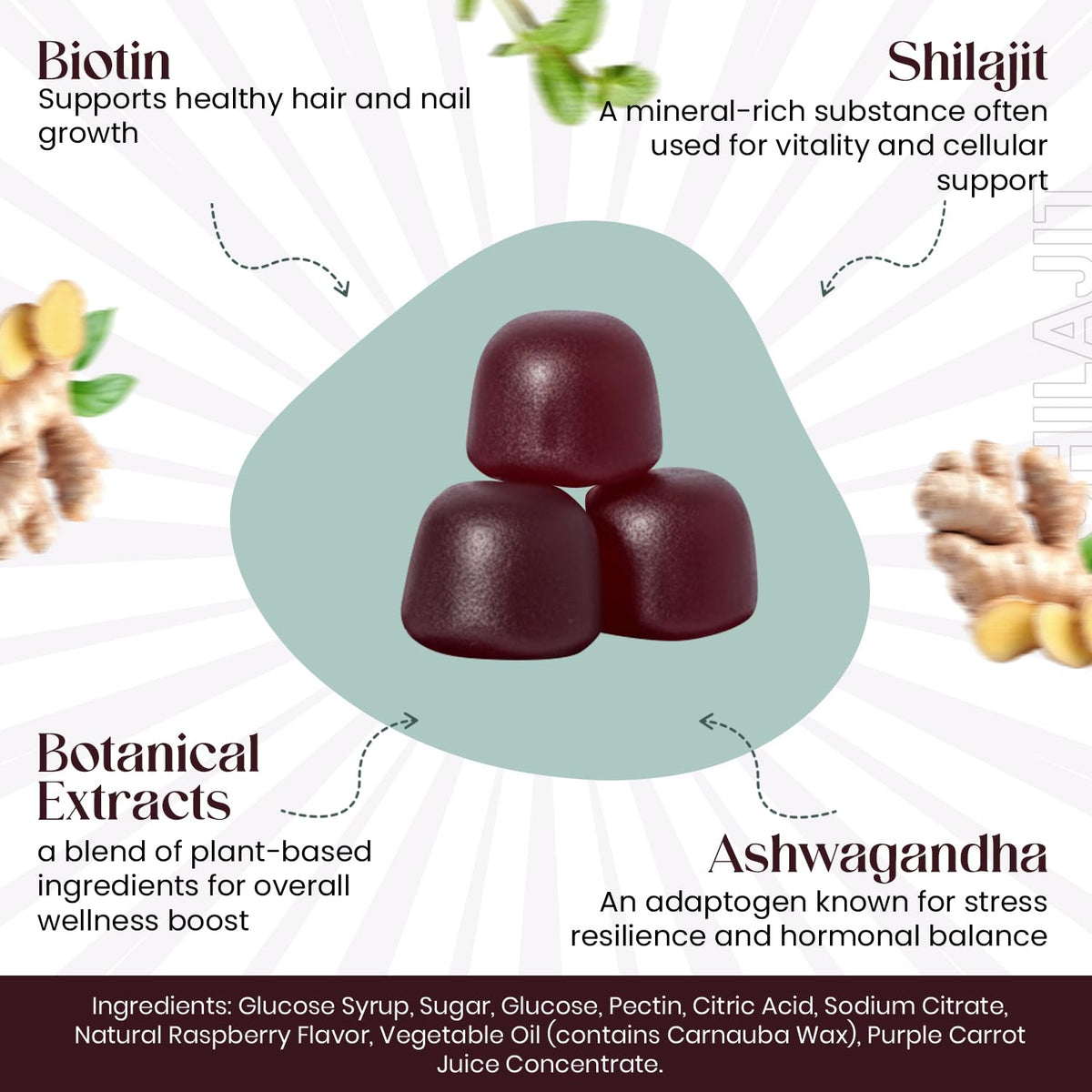 The EverÉ Natural Alchemy Evere RootRise Gummies - Shilajit + Ashwagandha Gummies - Maple Wellness Supplements