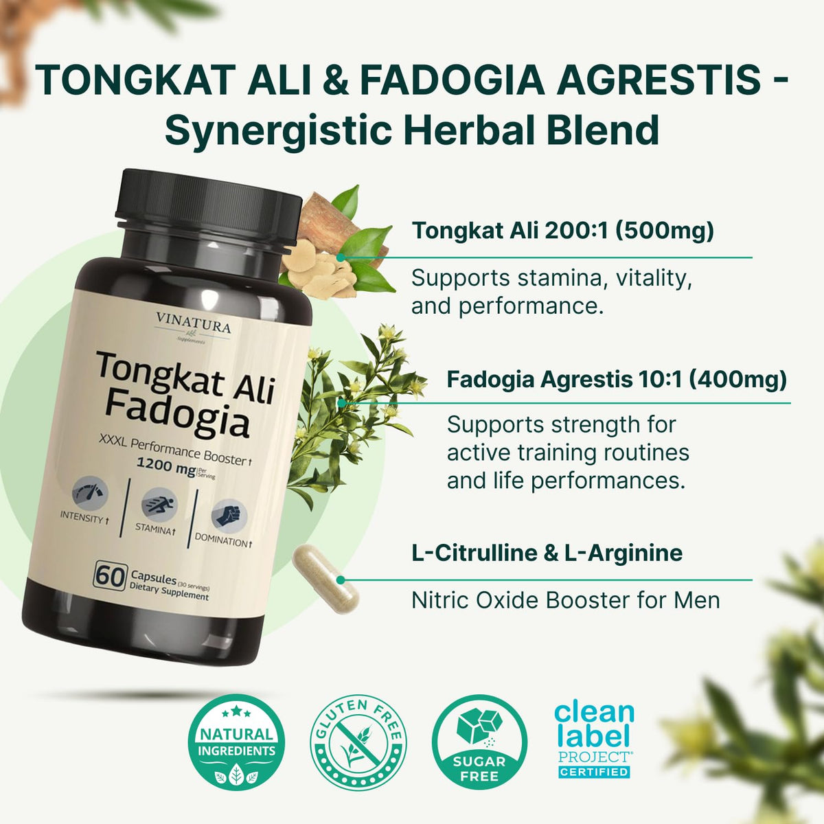 Tongkat Ali Fadogia Agrestis - 1200mg, Enhanced with Nitric Oxide Booster Supplement, Longjack Tongkat Ali for Men, - Maple Wellness Supplements