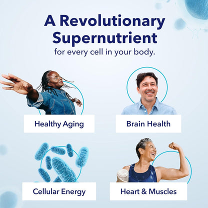 TRU NIAGEN PRO NAD Supplement for Brain Function, Anti Aging, Cell Regeneration | Patented Niagen | Supports Cellular Energy | Nicotinamide Riboside (NR) - Maple Wellness Supplements