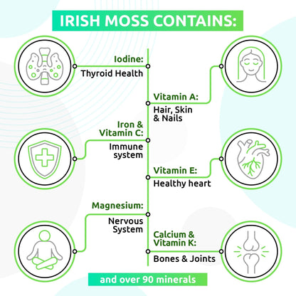 TrueSeaMoss Wildcrafted Irish Sea Moss Gel –7 Flavors- Nutritious Organic Raw - Maple Wellness Supplements