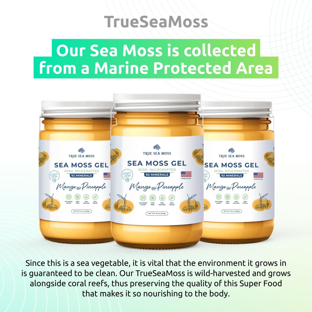 TrueSeaMoss Wildcrafted Irish Sea Moss Gel –7 Flavors- Nutritious Organic Raw - Maple Wellness Supplements