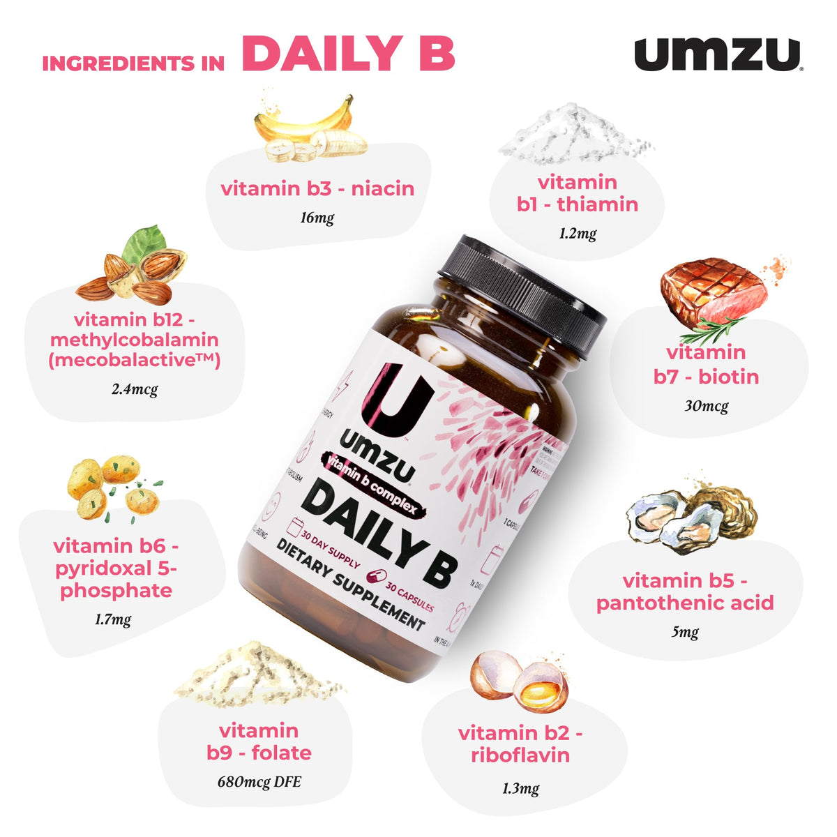 UMZU Daily B, 30 Day Supply – Complete Vitamin B Complex Supplement Blend with B1, B2, B3, B5, B6, B7, B9 & B12 Plus Folic Acid & Biotin – Supports Energy, Focus, Mood, - Maple Wellness Supplements
