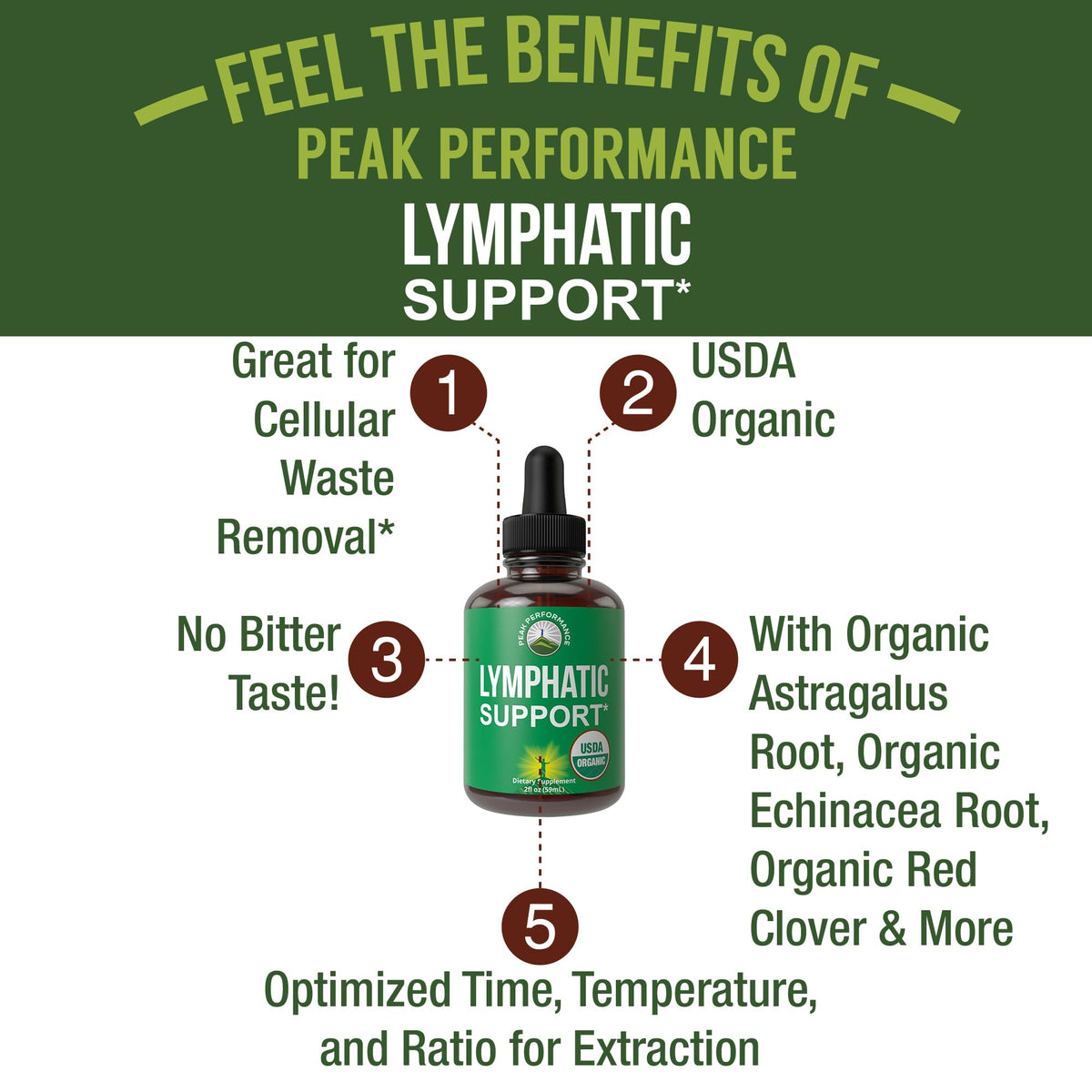USDA Organic Lymphatic Drainage Drops. Sugar Free, Tasty 6-in-1 Lymph System Support for Detox, Cleanse. Vegan Supplement with Astragalus, Echinacea, Red Clover, Cleavers Herb, Licorice & Burdock Root - Maple Wellness Supplements