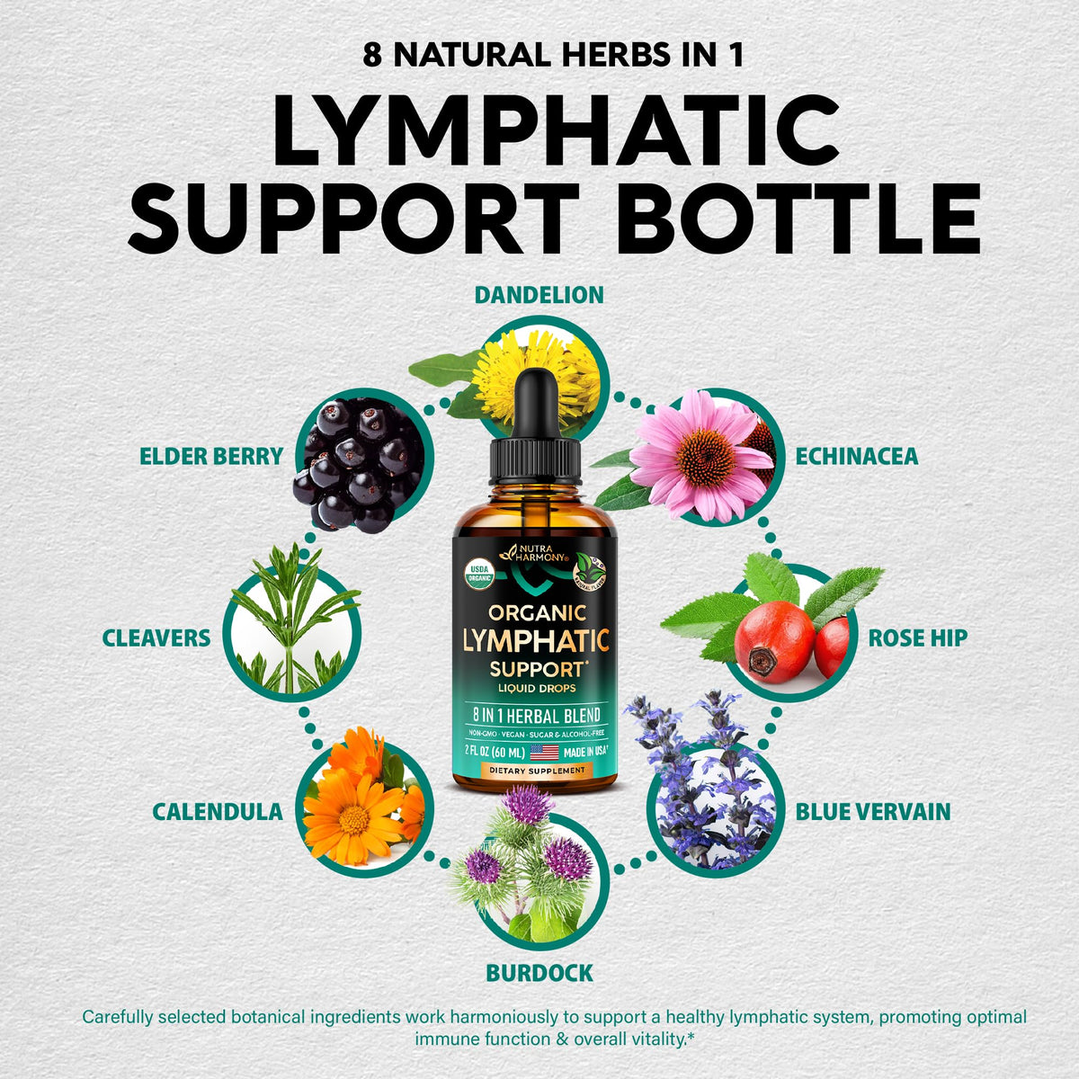 USDA Organic Lymphatic Drainage Supplement - Echinacea | Elderberry | Dandelion | Rosehip | Cleavers | Calendula | Burdock - Made in USA - Lymph System Drops - Maple Wellness Supplements