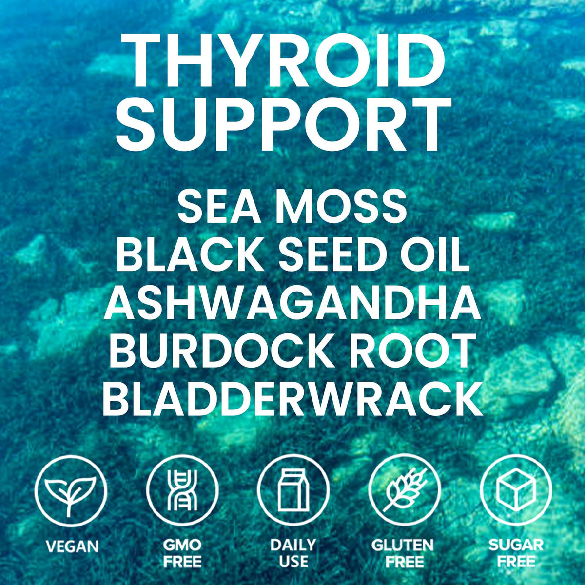 Velestoff Irish Seamoss Thyroid Hormone Regulator, Velestoff Thyroid Support Drops | Sea Moss, Black Seed Oil, Ashwagandha, Burdock Root, Bladderwrack, Hormone Balance & Support - 2 FL.OZ (1 Pcs) - Maple Wellness Supplements