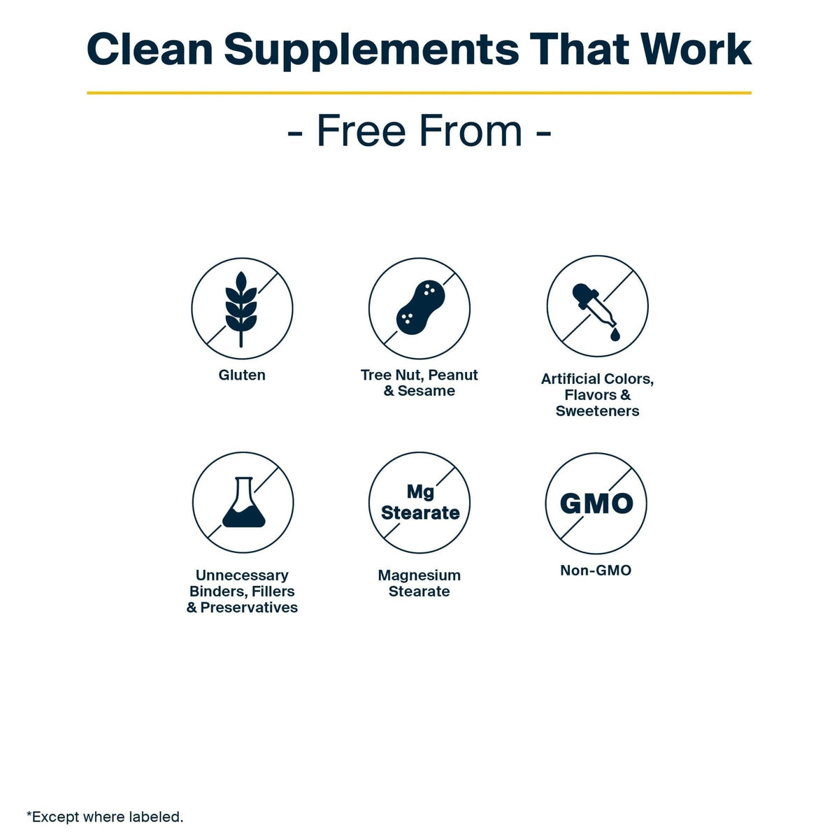 Vital Nutrients GI Repair Powder - Leaky Gut Powder with L Glutamine and Zinc - Digestive Enzyme Supplement to Support Gut Health - Maple Wellness Supplements