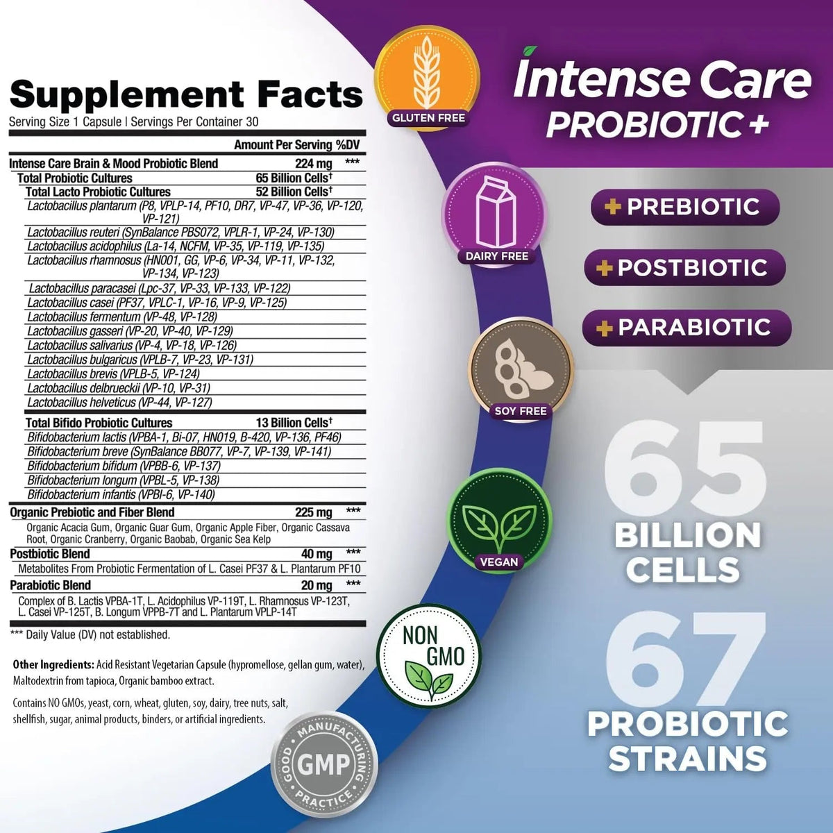 Vital Planet - Intense Care Brain & Mood Probiotics, Organic Prebiotics, Postbiotics, Parabiotics, Complete 4-in-1 Health Supplement for Adults, 65 Billion CFU, 67 Strains, Digestive and Immune 30 ct - Maple Wellness Supplements