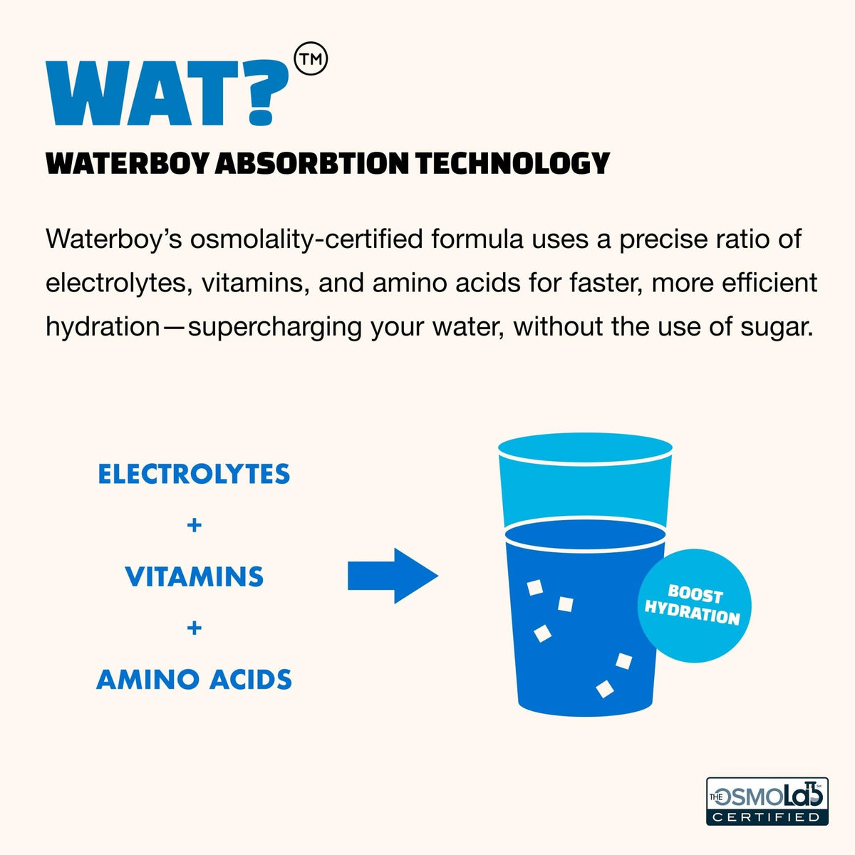 Waterboy Hydration Recovery Variety | 4-9x Electrolyte Powder Packets | Ginger + L-Theanine + L-Glutamine + Vitamins | No Sugar, All Natural, Gluten Free - Maple Wellness Supplements