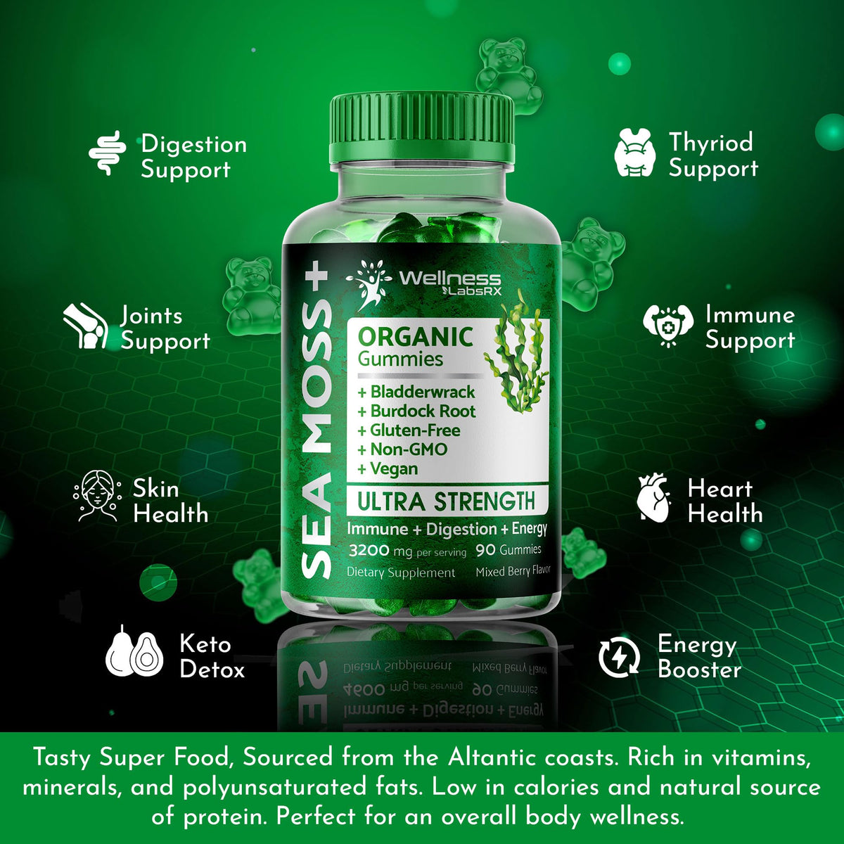 WELLNESS LABSRX Sea Moss Gummies, 3200mg Organic Seamoss, Irish Sea Moss - Maple Wellness Supplements