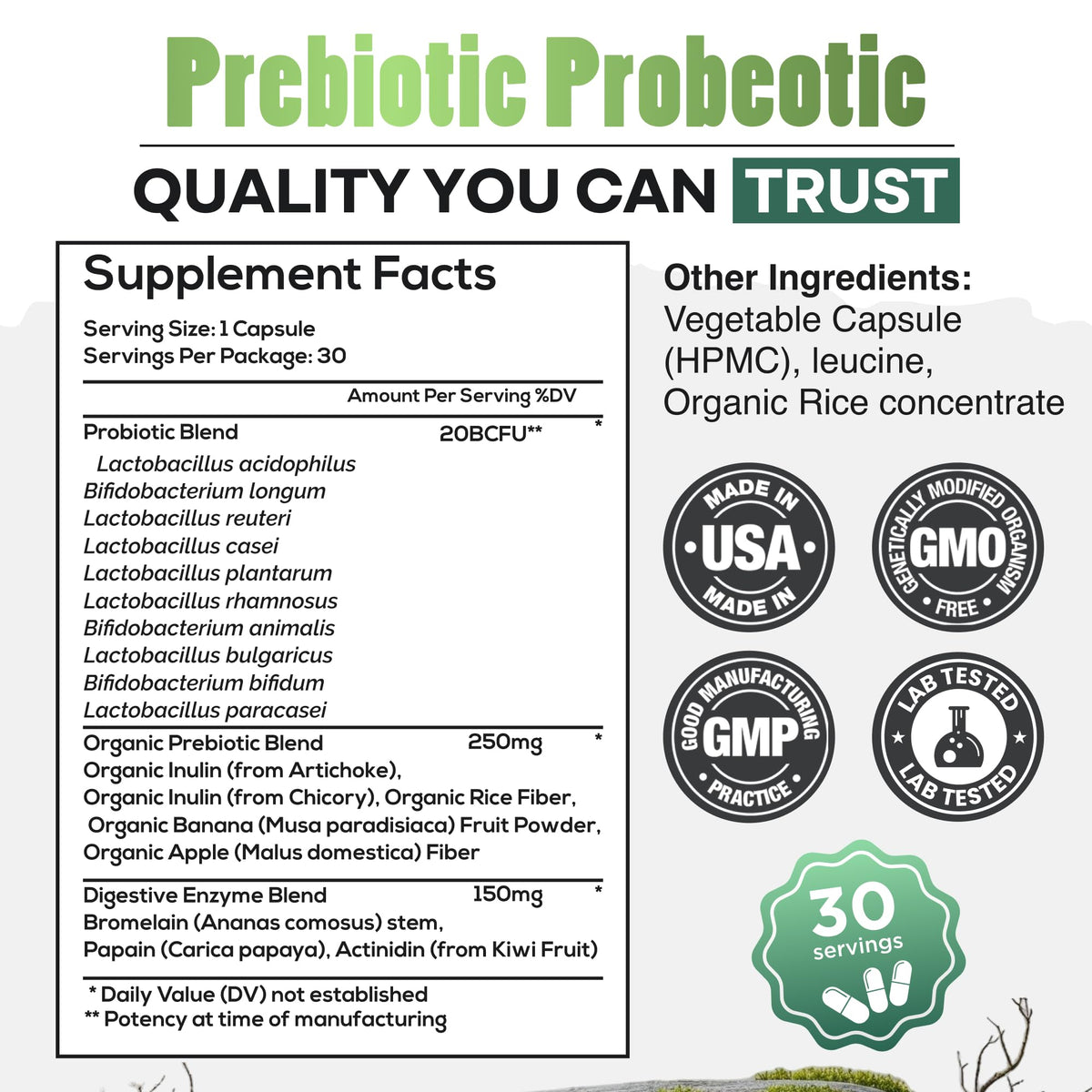 Wild Prebiotics and Probiotics with Digestive Enzymes | 20 Billion CFU - 10 Strains for Women & Men | Support Gut Health & Digestion Supplements | Non-GMO Prebiotic Fiber | 30 Capsules - Maple Wellness Supplements